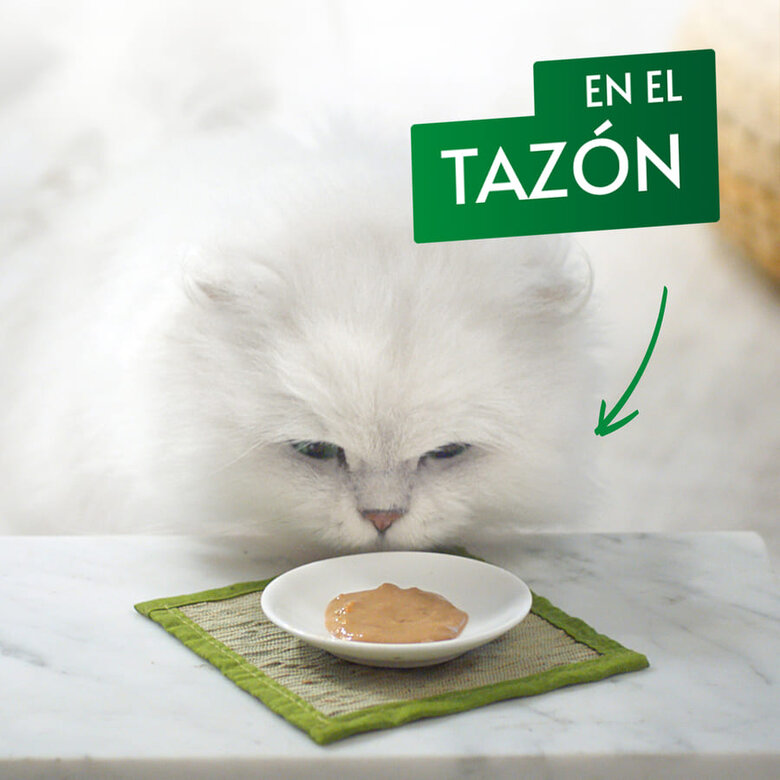 Gourmet Nature's Creations Snack Húmido de Frango para gatos, , large image number null